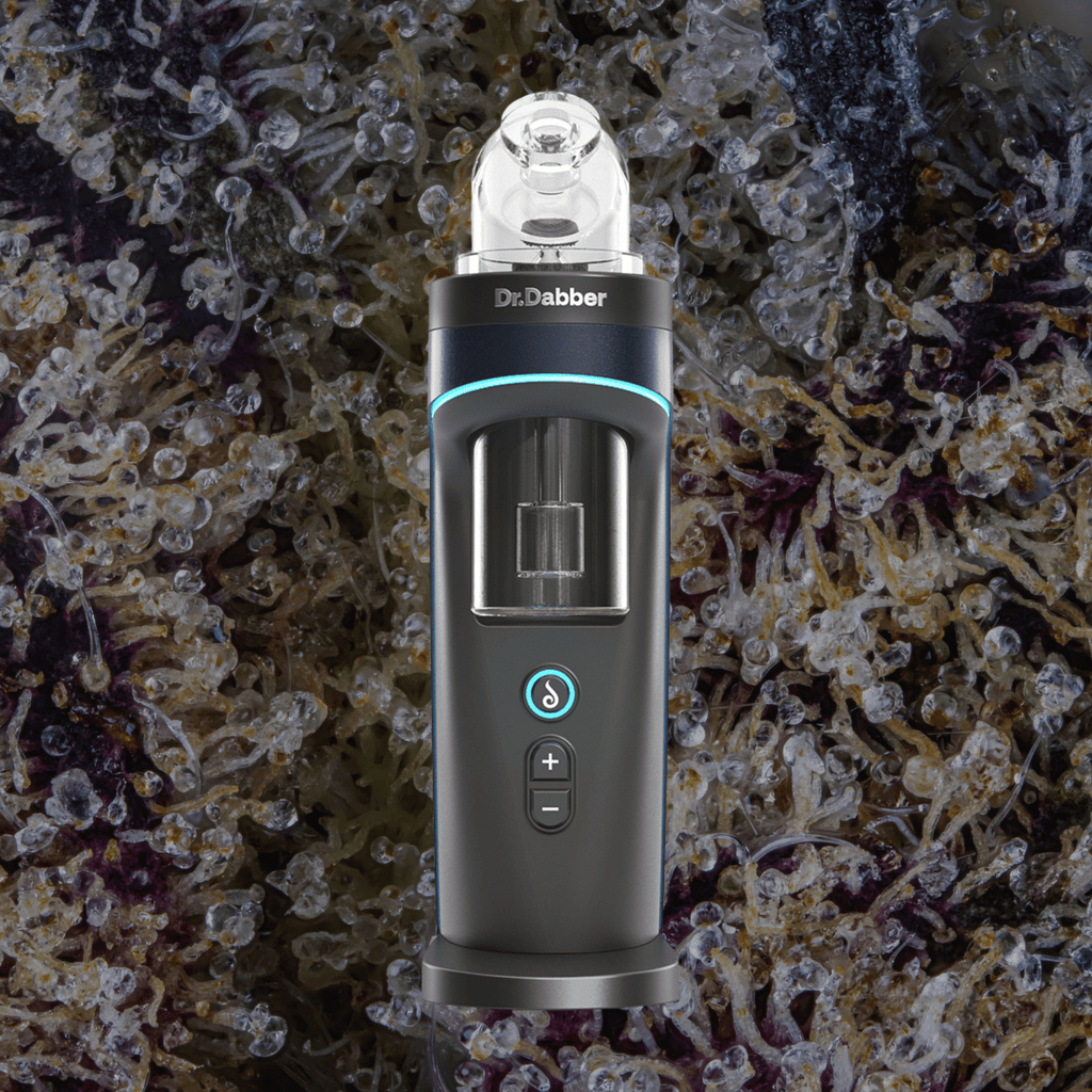 Dr. Dabber Switch 2 | Trichly