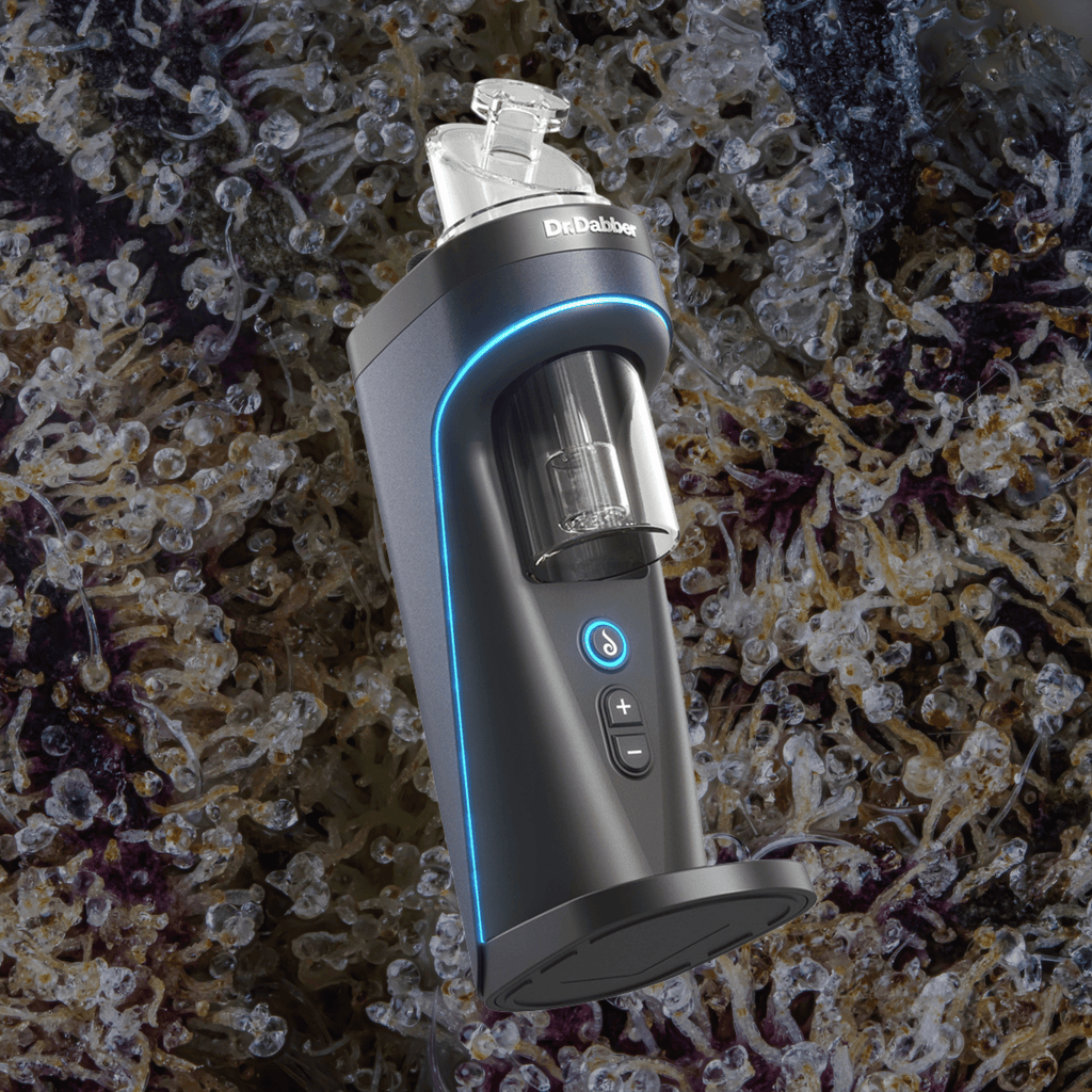 Dr. Dabber Switch 2 | Trichly