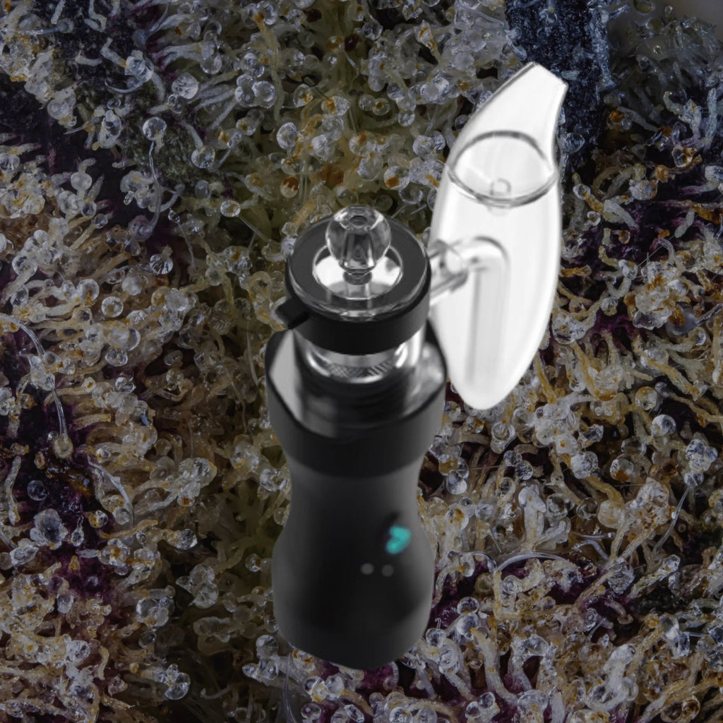 Dr. Dabber XS | Trichly
