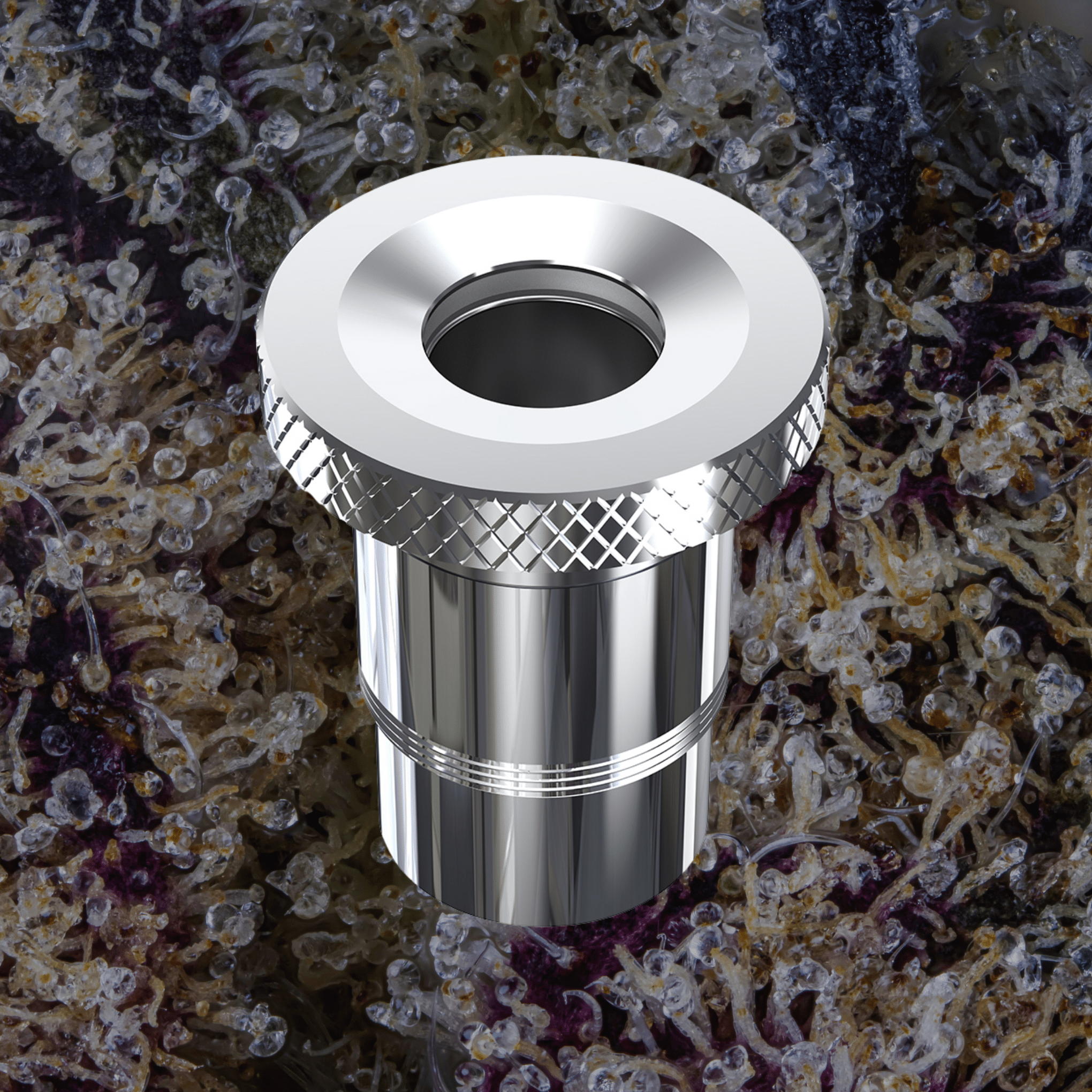 Dr. Dabber XS Quartz Chamber | Trichly