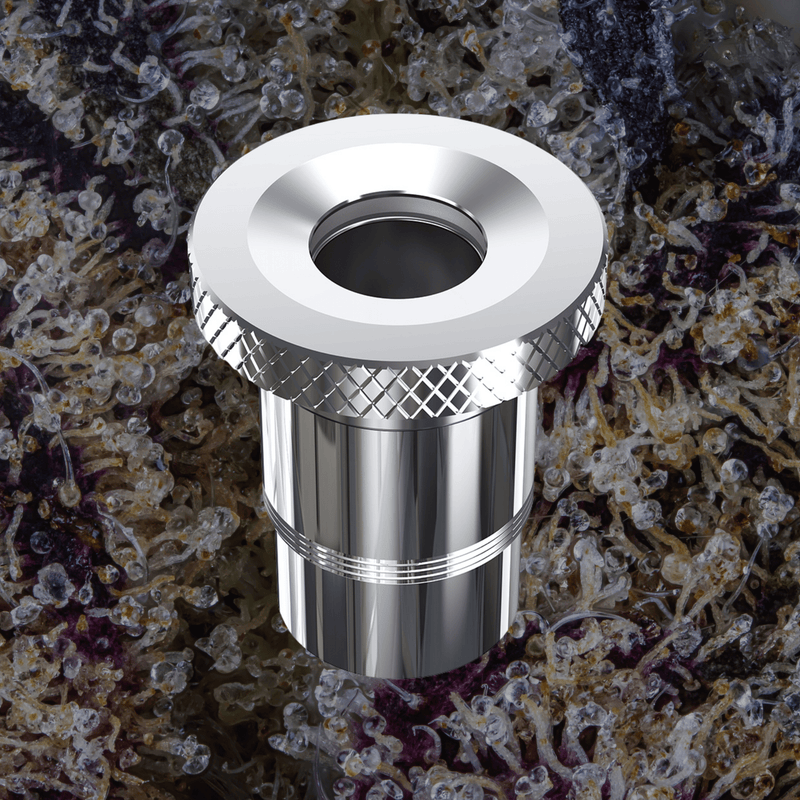 Dr. Dabber XS Quartz Chamber | Trichly