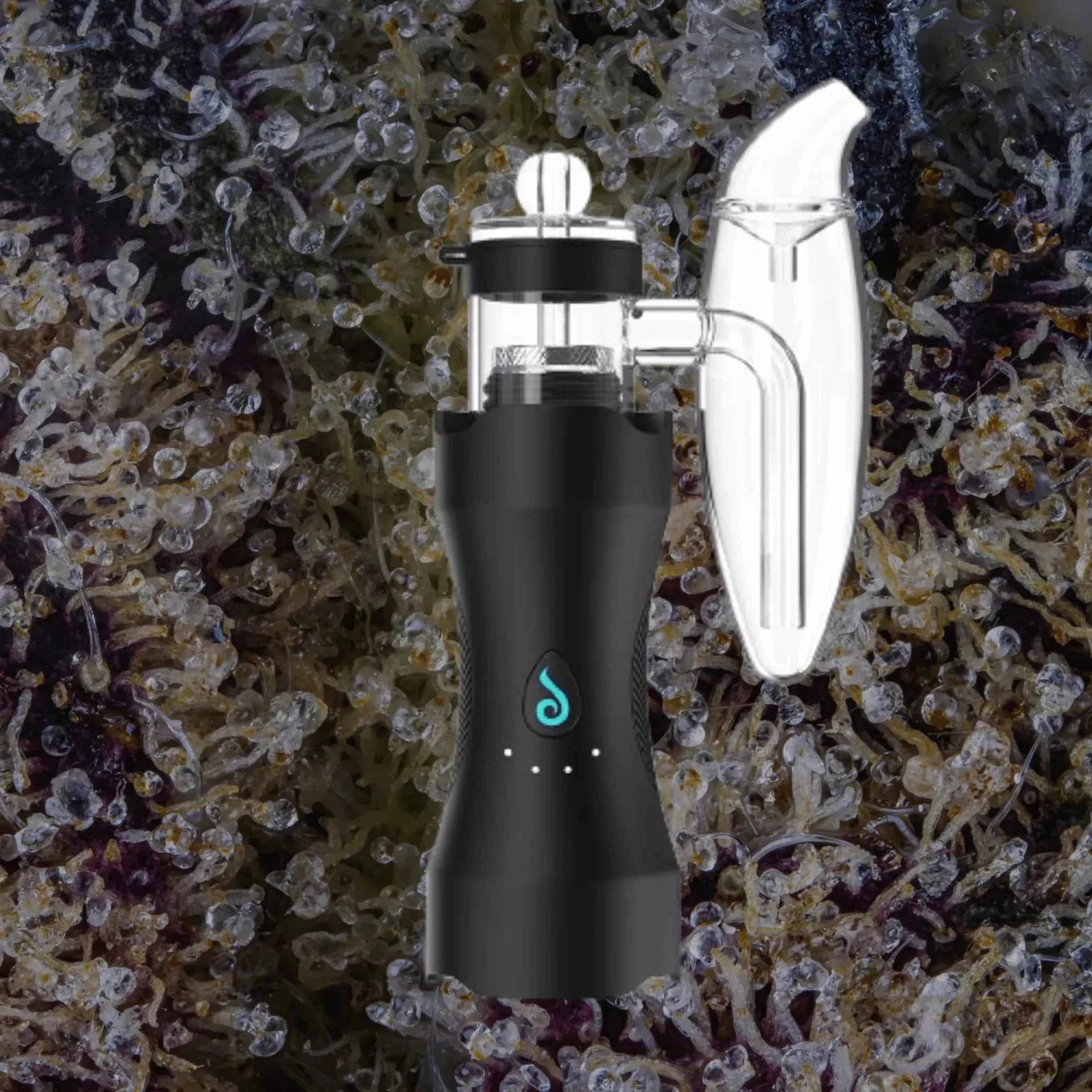 Dr. Dabber XS | Trichly