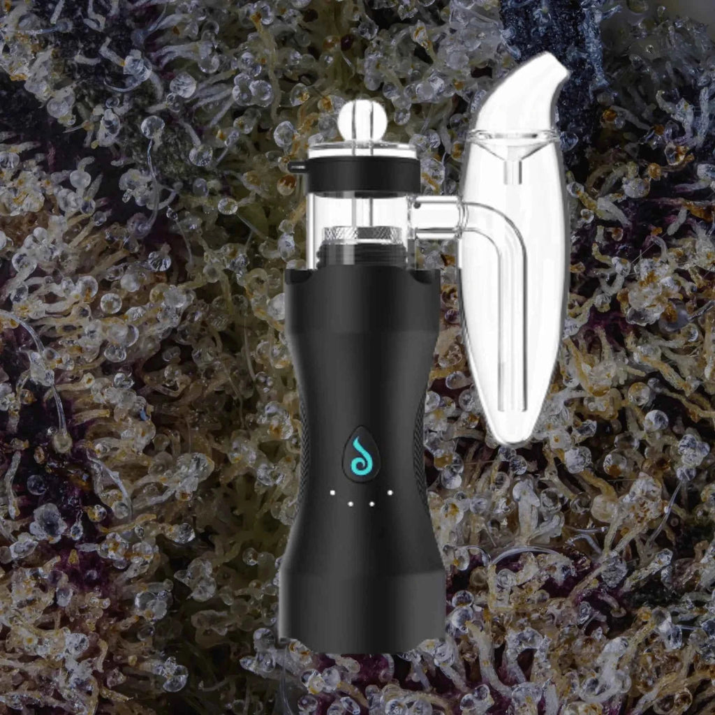 Dr. Dabber XS | Trichly