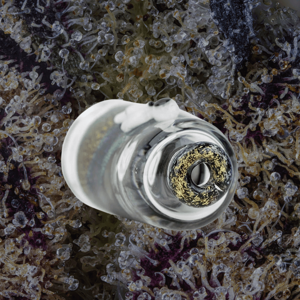 Empire Glassworks Across the Universe Puffco Pivot Top | Trichly