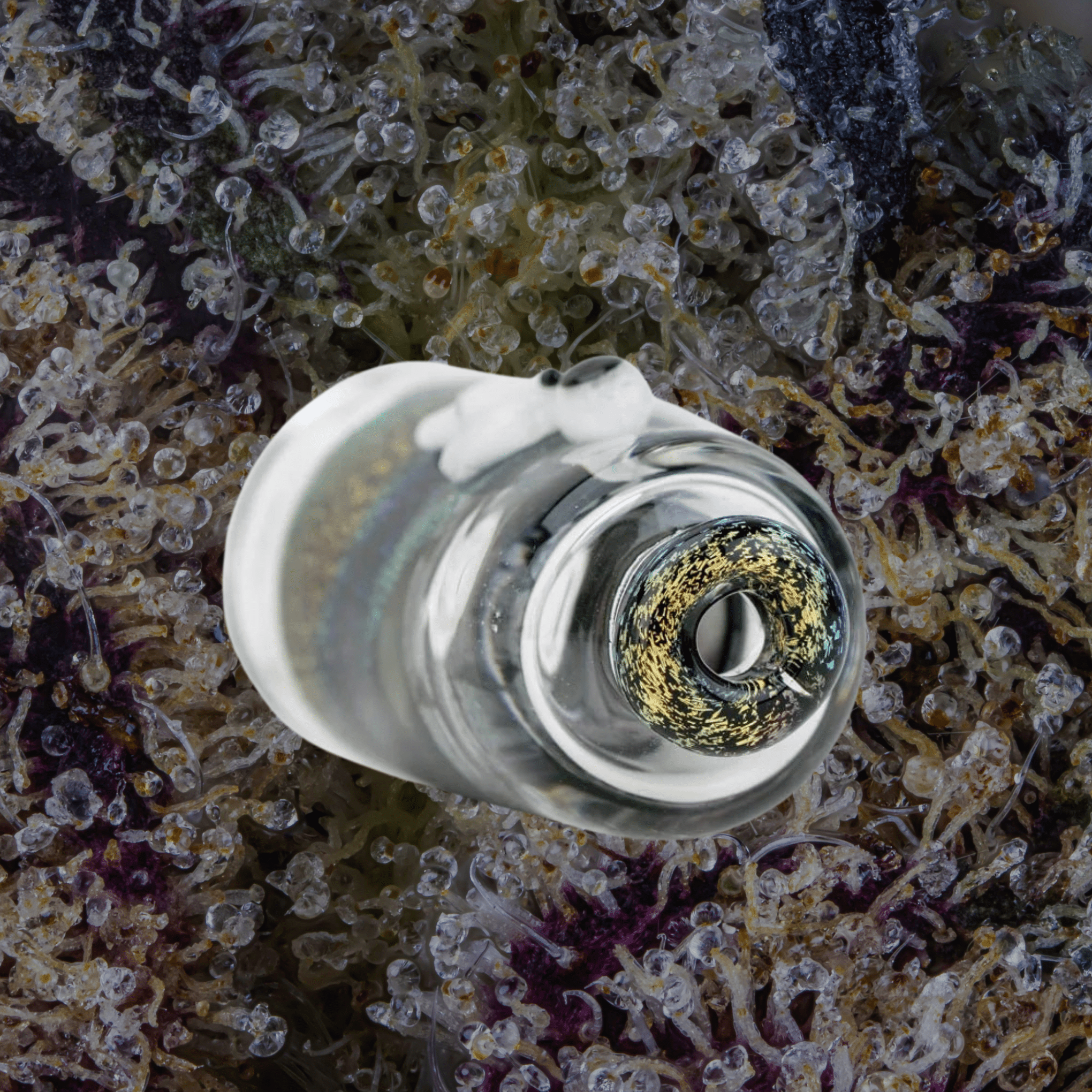 Empire Glassworks Across the Universe Puffco Pivot Top | Trichly