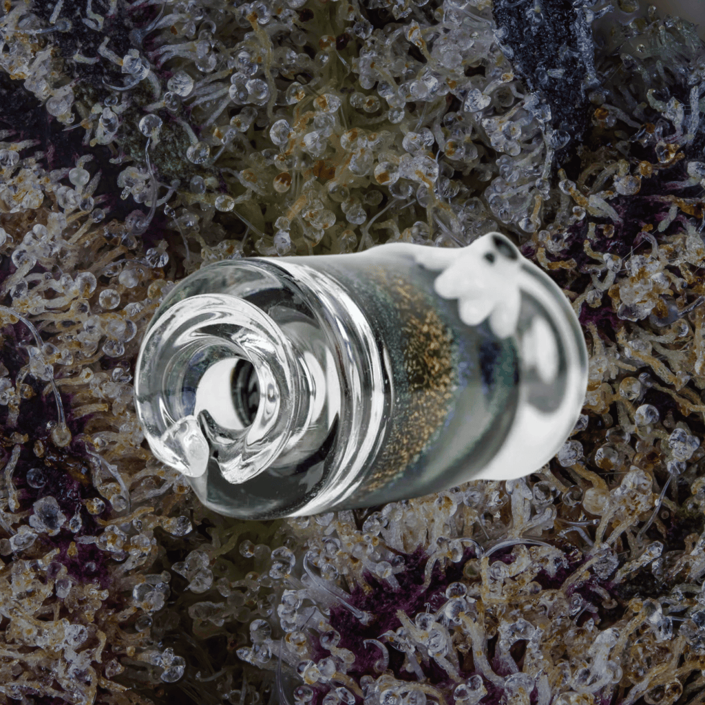 Empire Glassworks Across the Universe Puffco Pivot Top | Trichly
