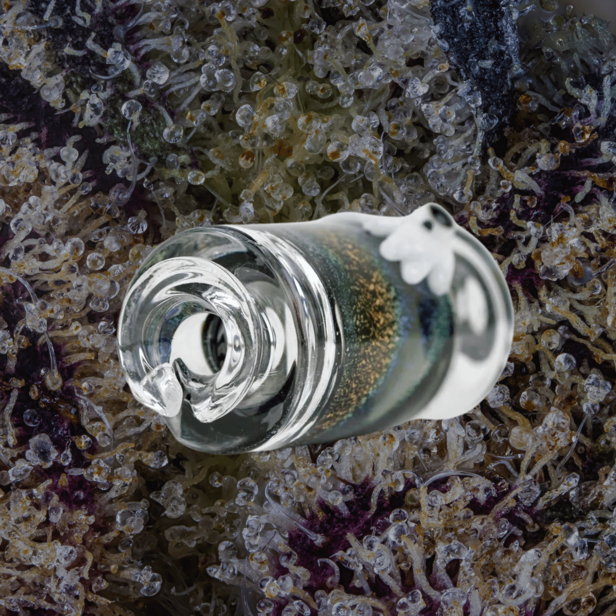 Empire Glassworks Across the Universe Puffco Pivot Top | Trichly