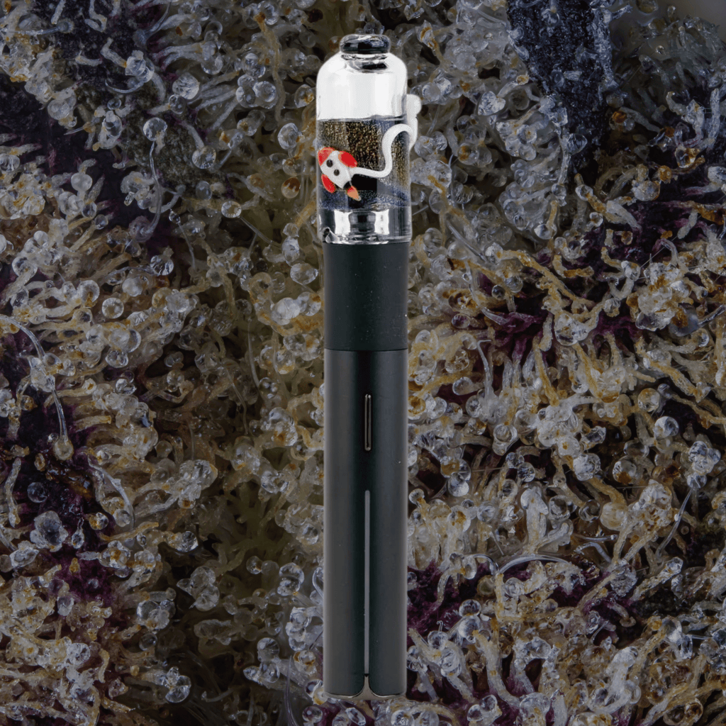 Empire Glassworks Across the Universe Puffco Pivot Top | Trichly