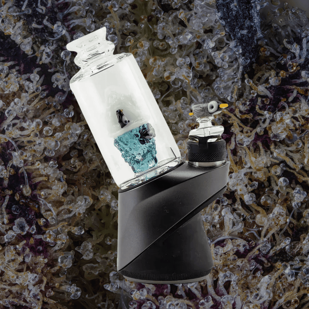 Empire Glassworks Avenge the Arctic Peak Top | Trichly
