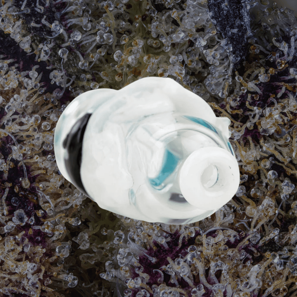 Empire Glassworks Avenge the Arctic Puffco Pivot Top | Trichly