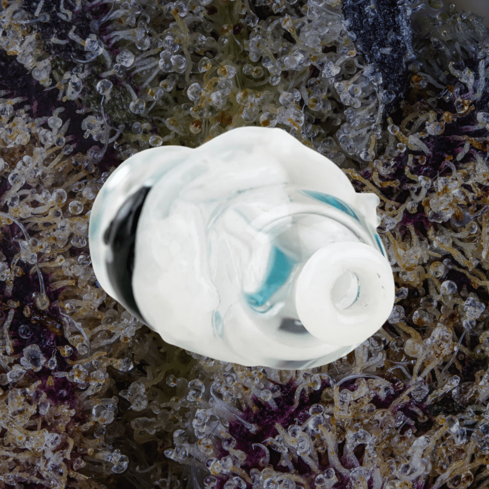 Empire Glassworks Avenge the Arctic Puffco Pivot Top | Trichly