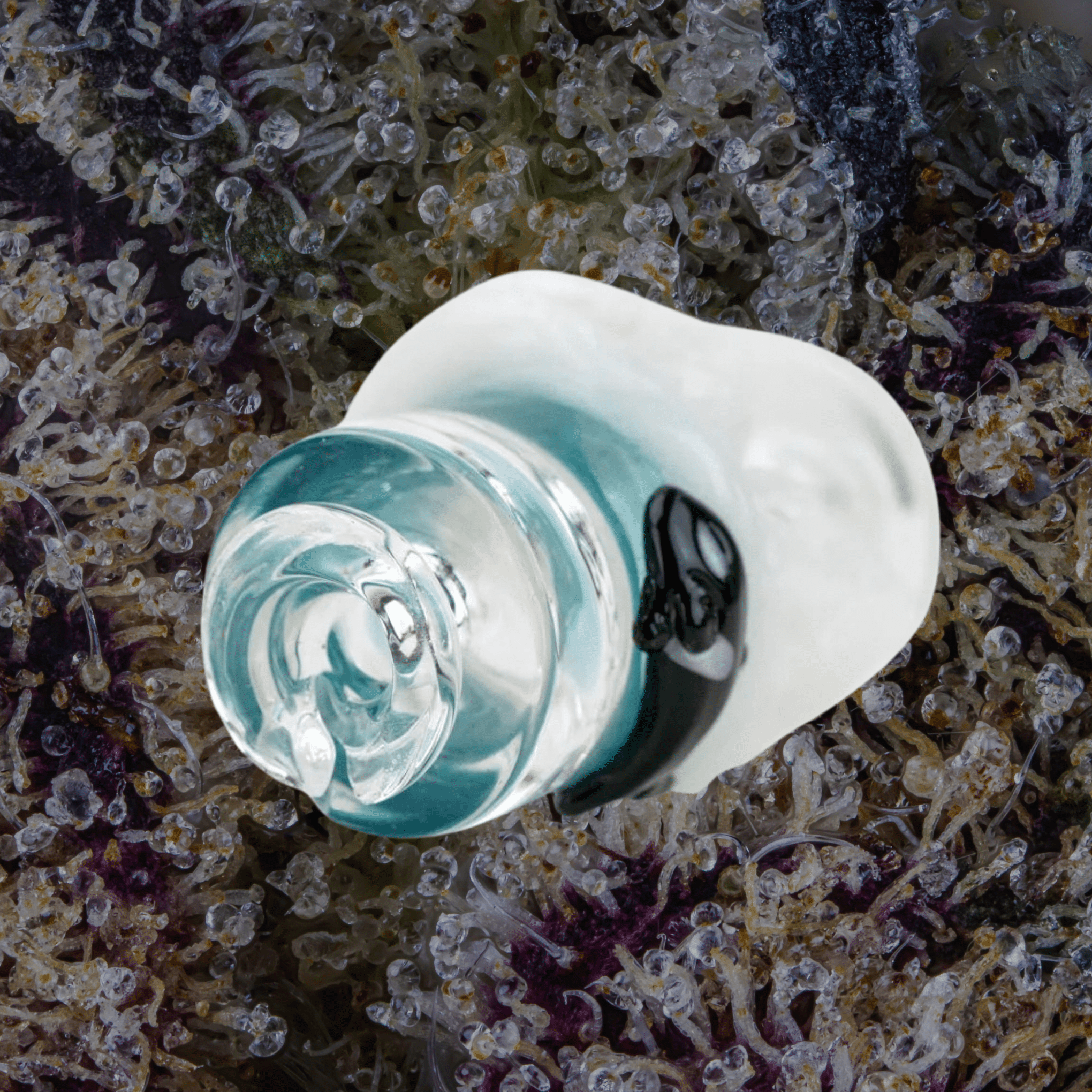 Empire Glassworks Avenge the Arctic Puffco Pivot Top | Trichly