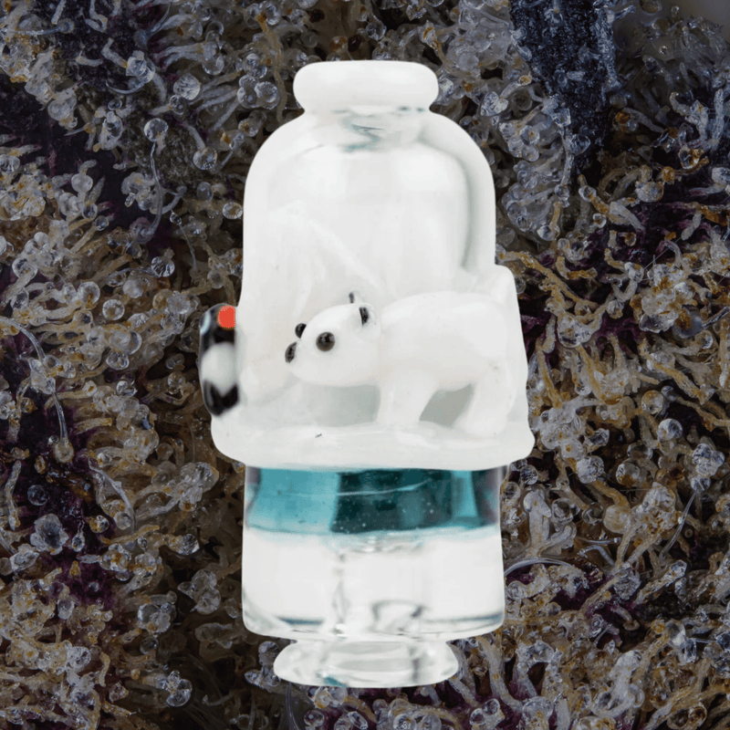 Empire Glassworks Avenge the Arctic Puffco Pivot Top | Trichly