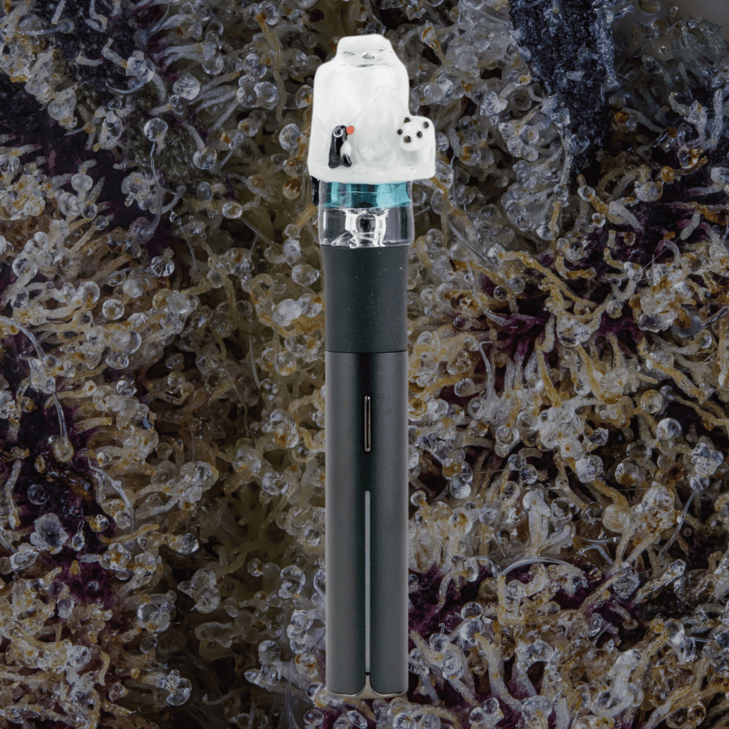 Empire Glassworks Avenge the Arctic Puffco Pivot Top | Trichly