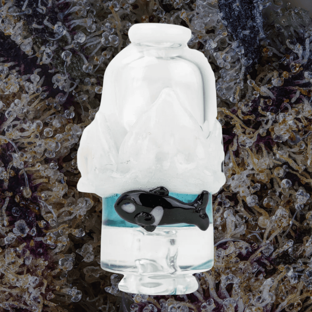 Empire Glassworks Avenge the Arctic Puffco Pivot Top | Trichly