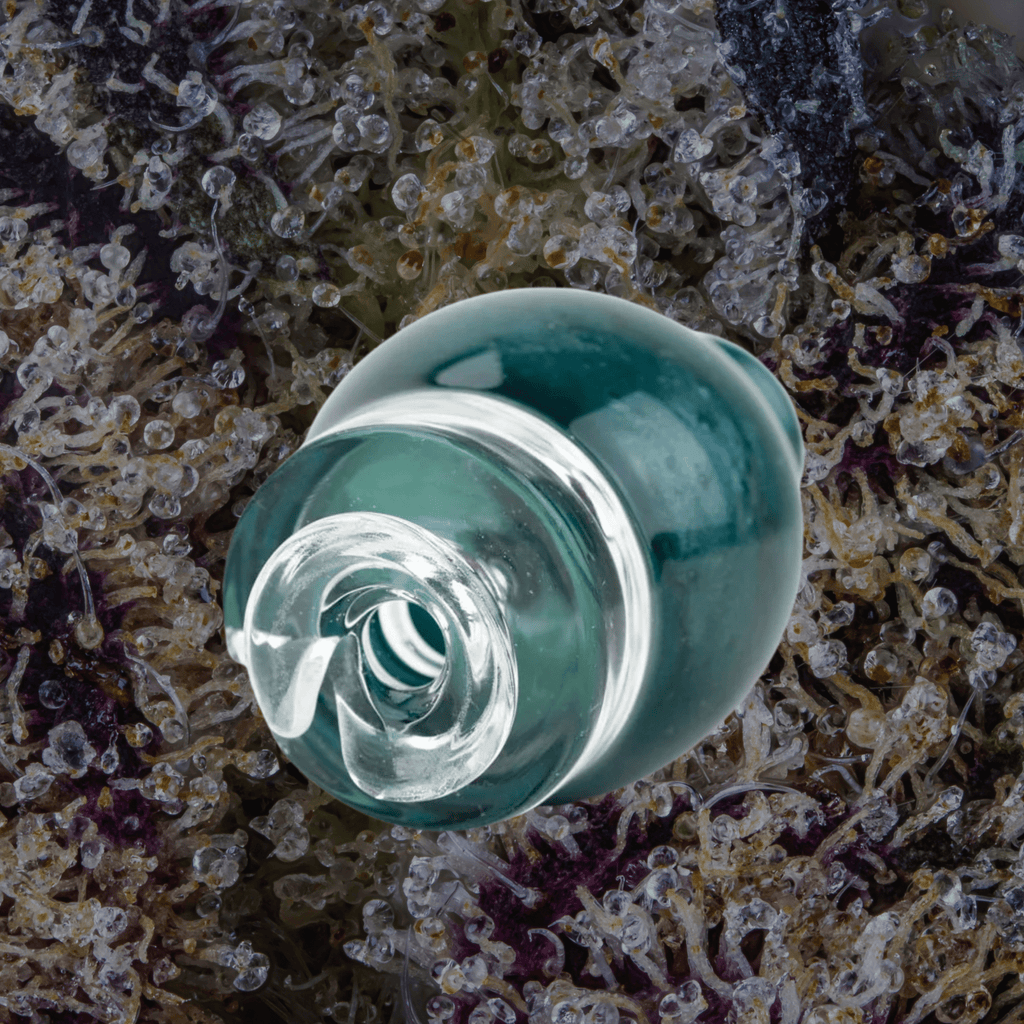 Empire Glassworks Blue Lagoon Puffco Pivot Top | Trichly