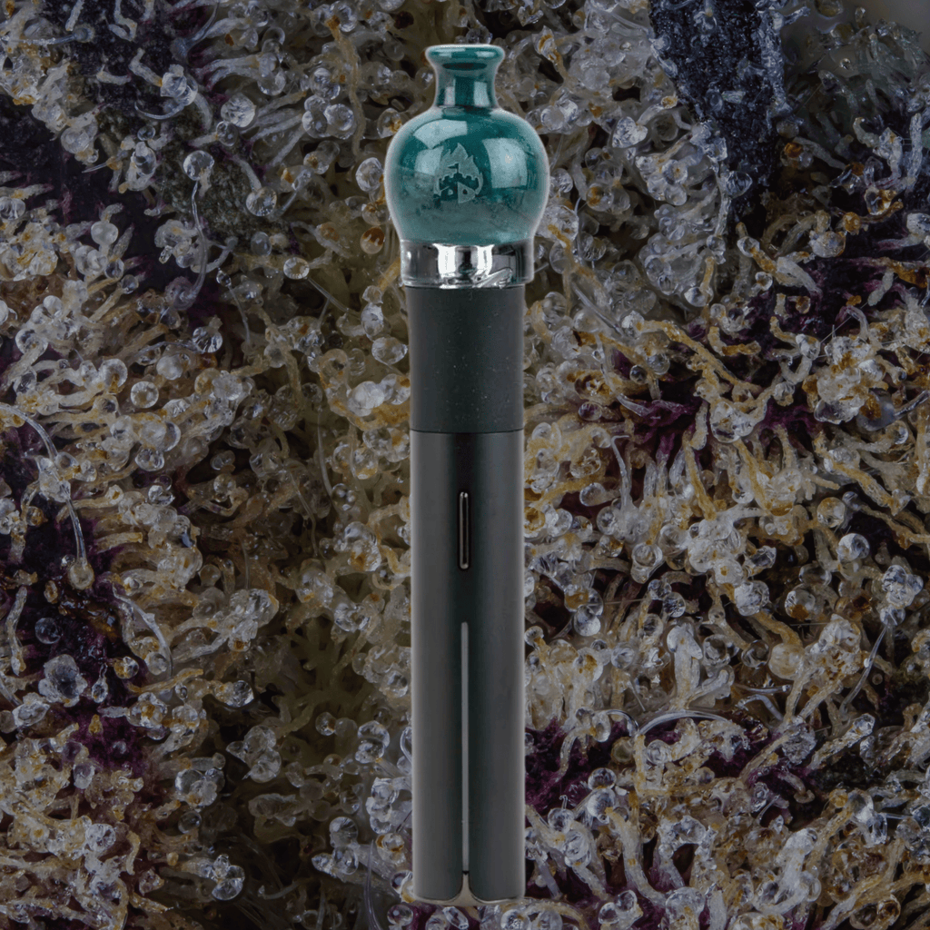 Empire Glassworks Blue Lagoon Puffco Pivot Top | Trichly