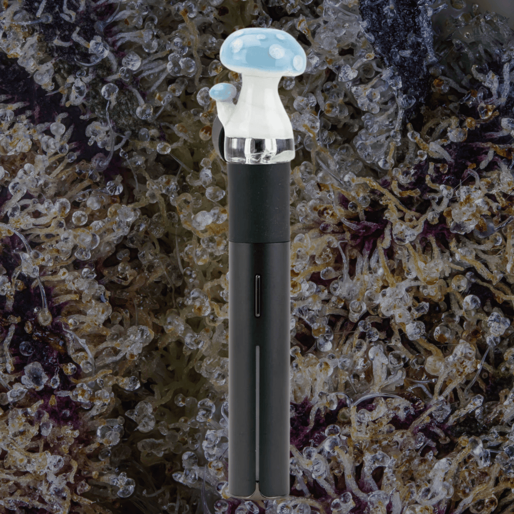 Empire Glassworks Blue Mushroom Puffco Pivot Glass Top | Trichly