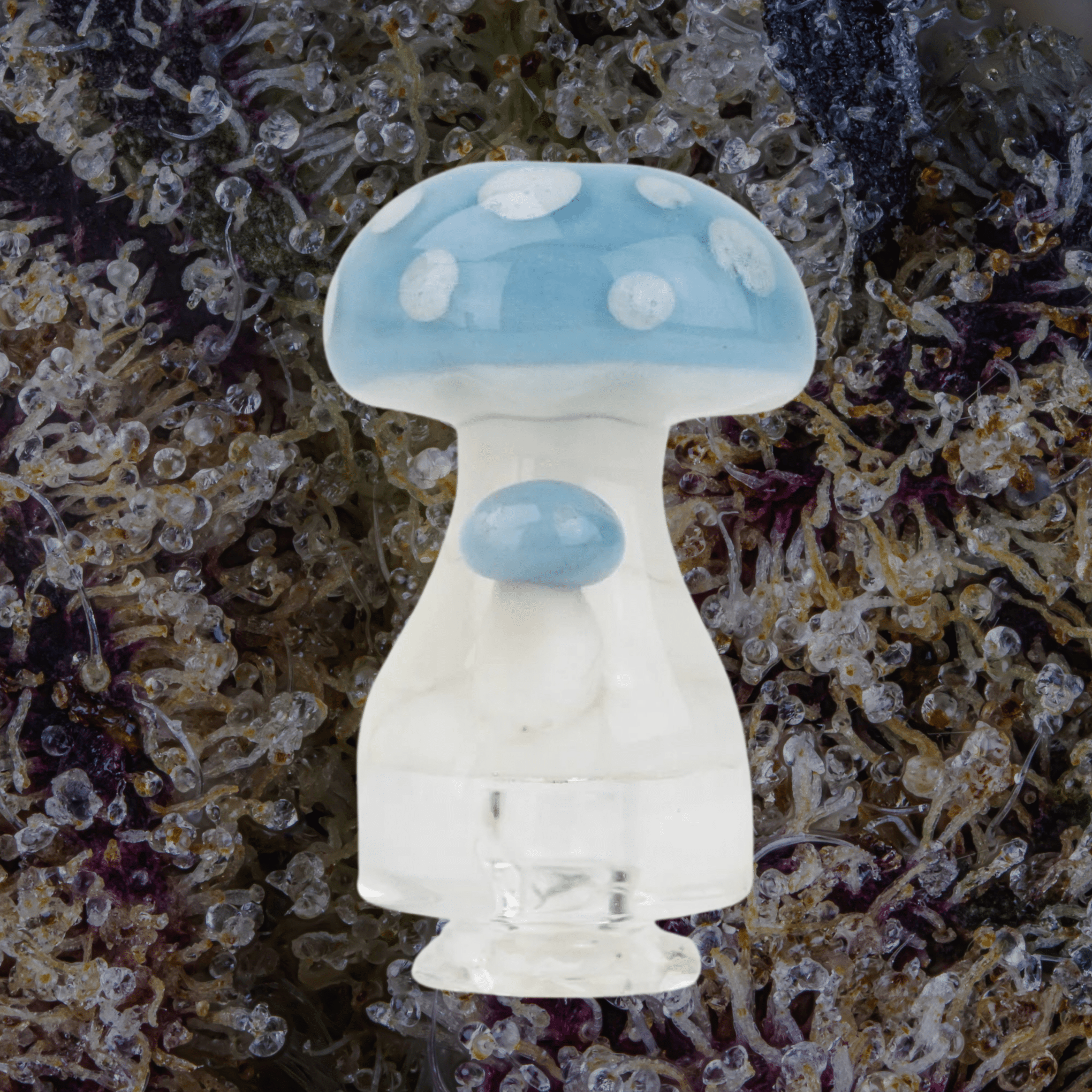 Empire Glassworks Blue Mushroom Puffco Pivot Glass Top | Trichly