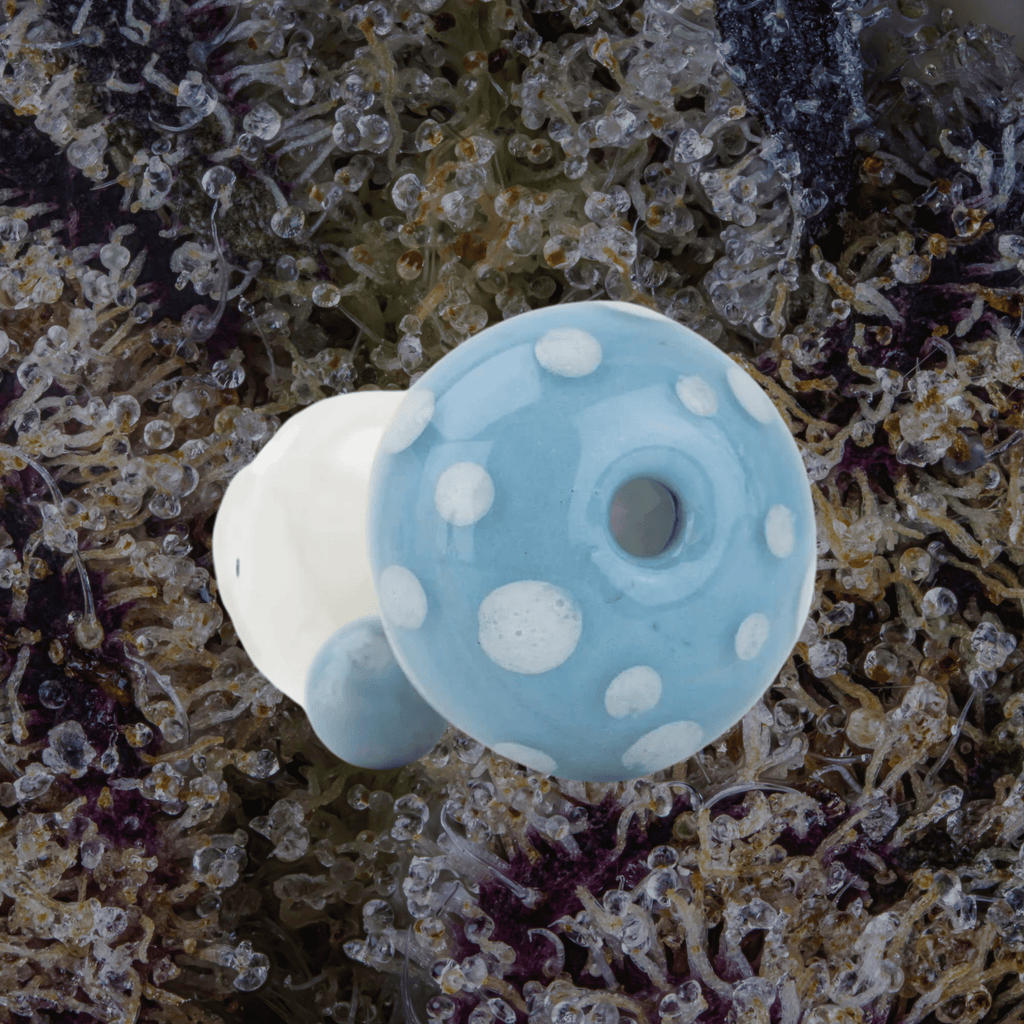 Empire Glassworks Blue Mushroom Puffco Pivot Glass Top | Trichly