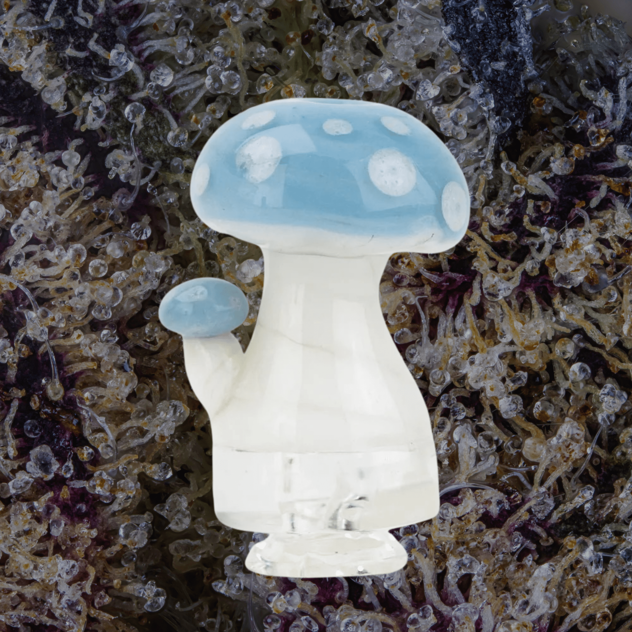 Empire Glassworks Blue Mushroom Puffco Pivot Glass Top | Trichly