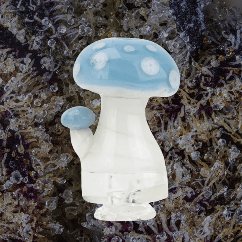 Empire Glassworks Blue Mushroom Puffco Pivot Glass Top | Trichly