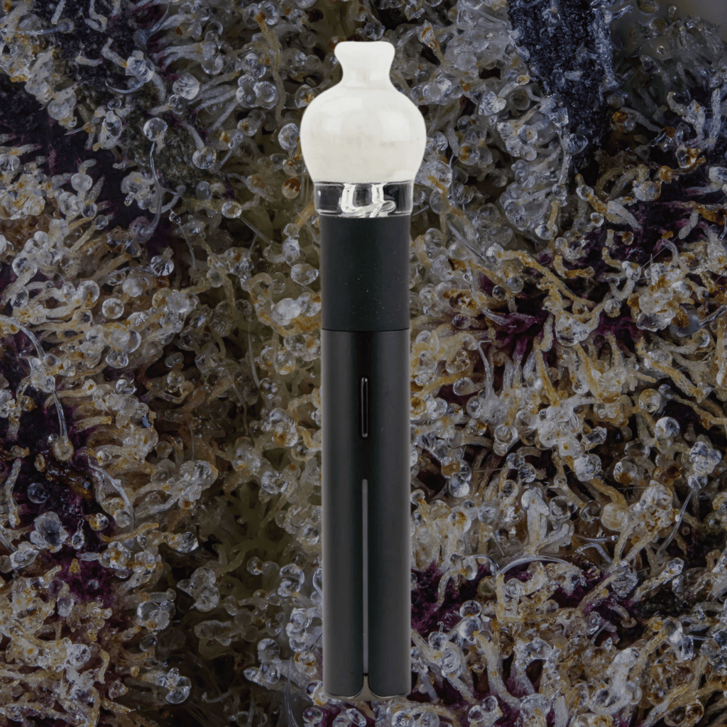 Empire Glassworks Glow in the Dark Puffco Pivot Top | Trichly