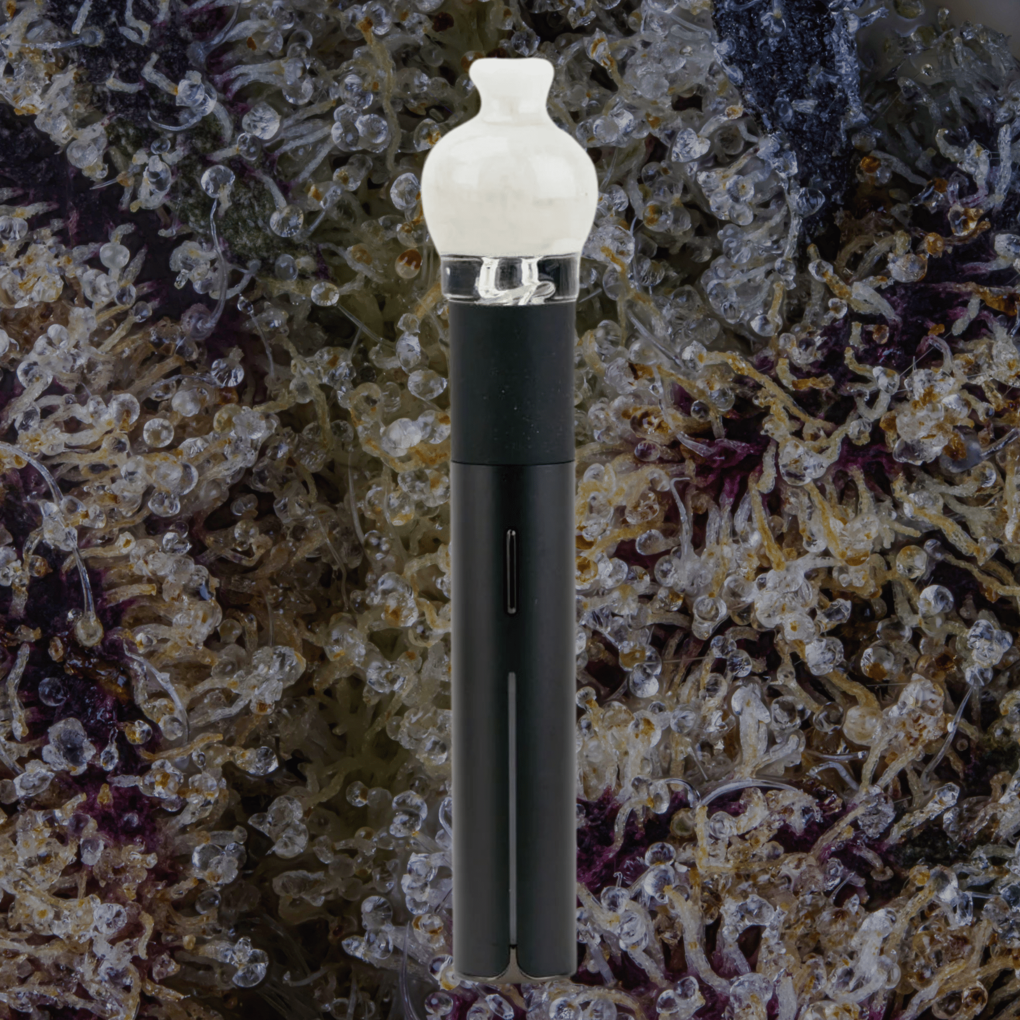 Empire Glassworks Glow in the Dark Puffco Pivot Top | Trichly