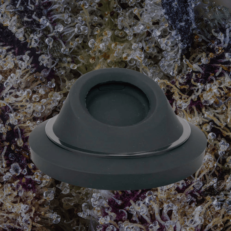 Empire Glassworks Peak/Peak Pro Attachment Display Stand | Trichly