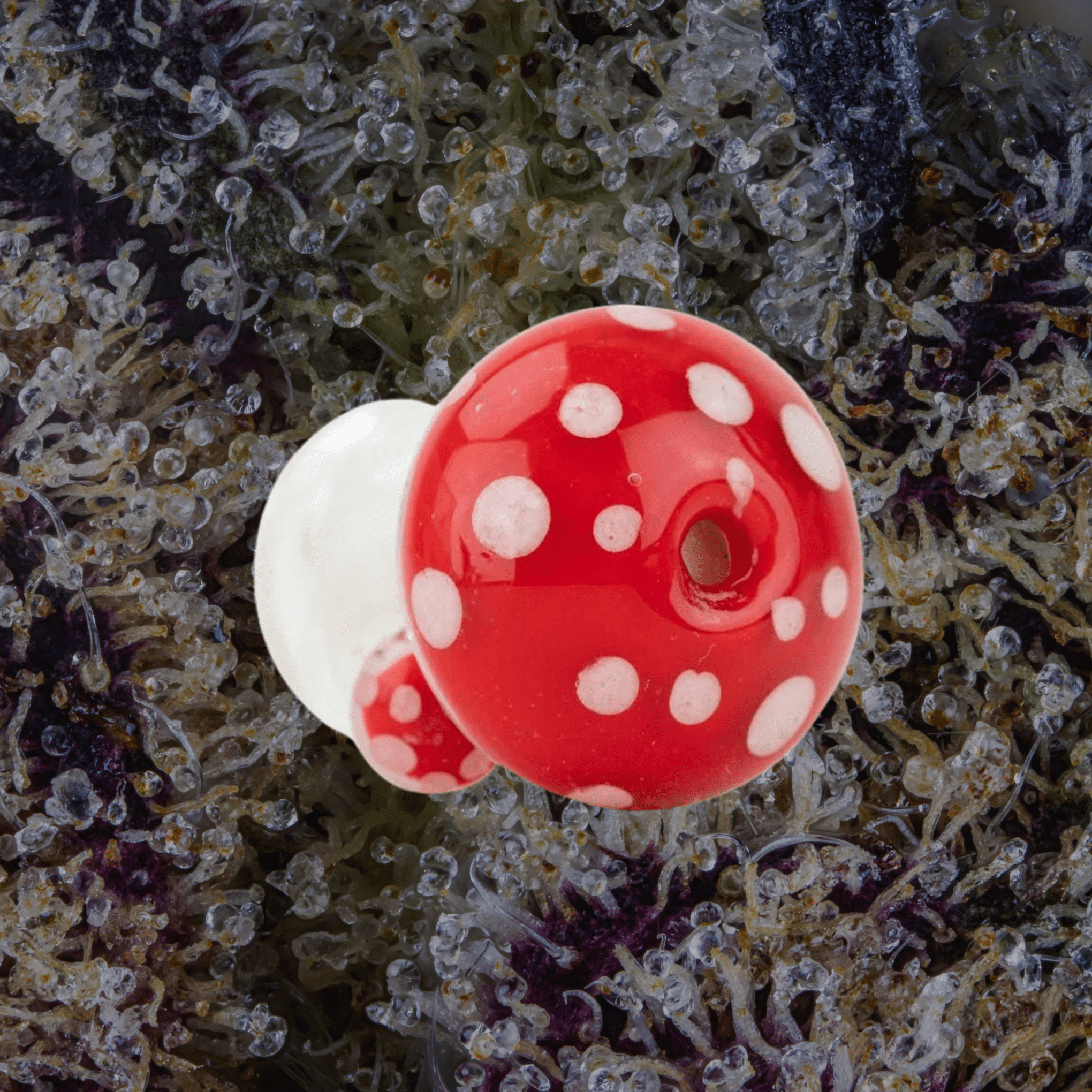 Empire Glassworks Red Mushroom Puffco Pivot Top | Trichly