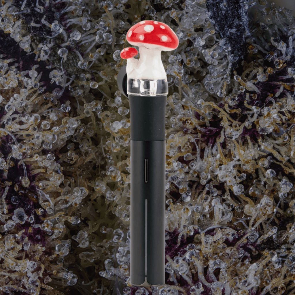 Empire Glassworks Red Mushroom Puffco Pivot Top | Trichly