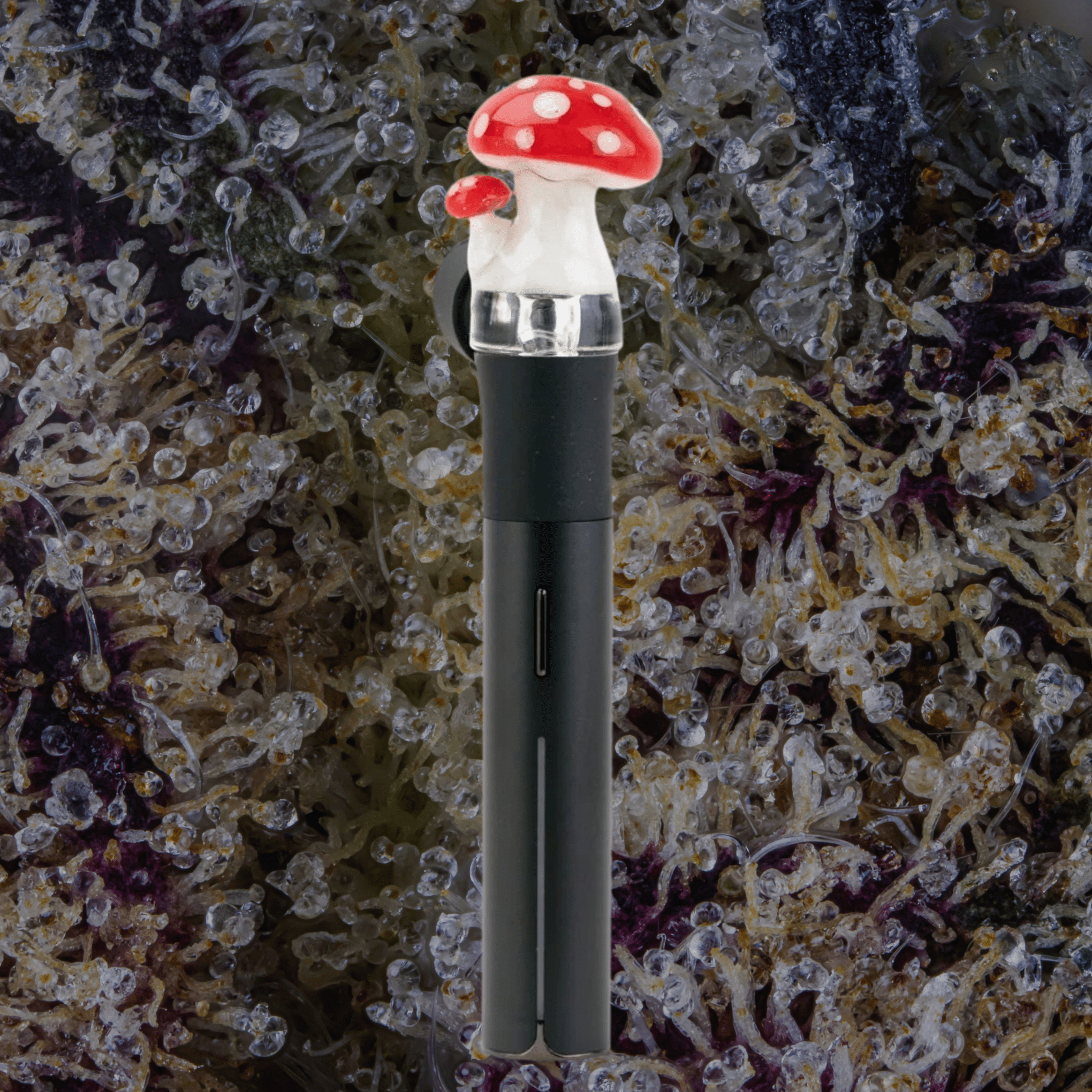 Empire Glassworks Red Mushroom Puffco Pivot Top | Trichly