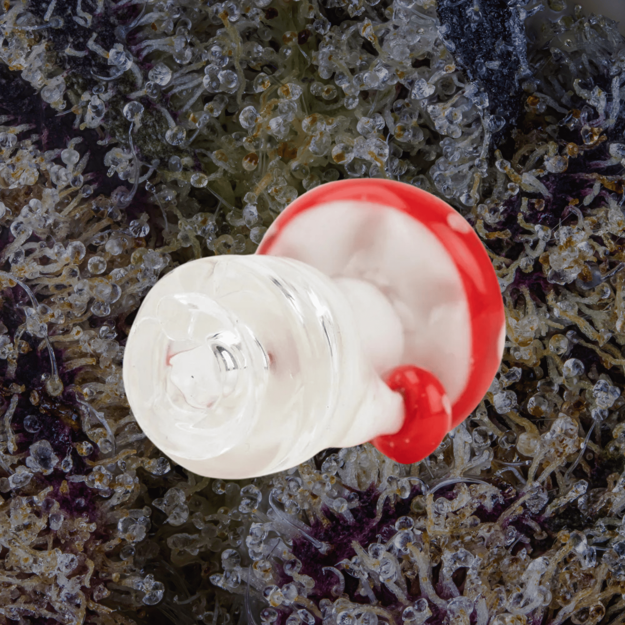 Empire Glassworks Red Mushroom Puffco Pivot Top | Trichly