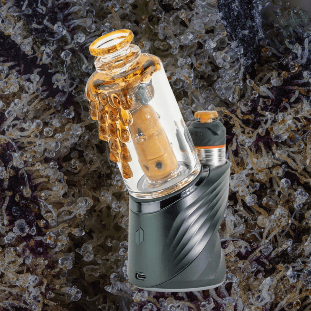 Empire Glassworks Save the Bees Peak Top | Trichly