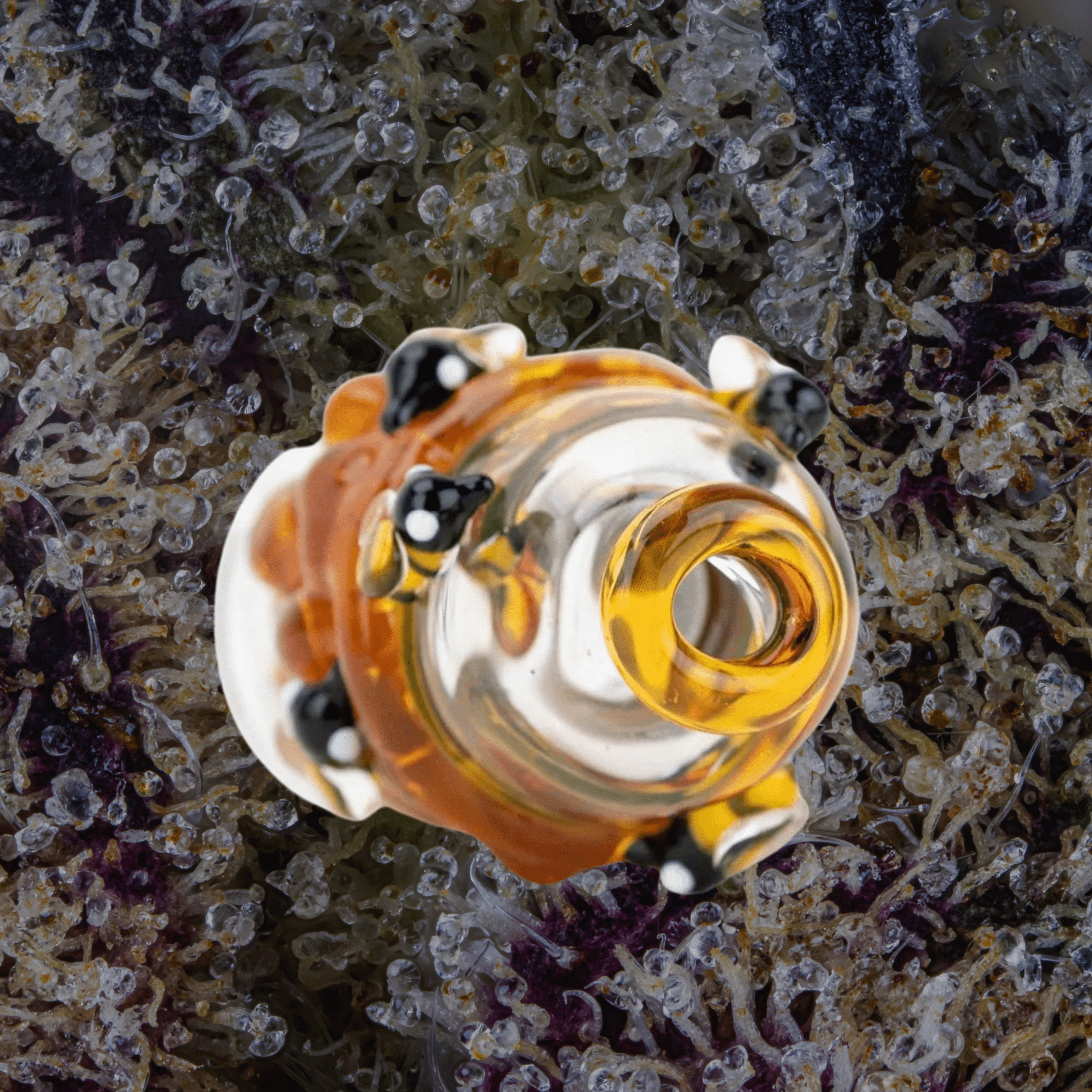 Empire Glassworks Save the Bees Puffco Pivot Top | Trichly