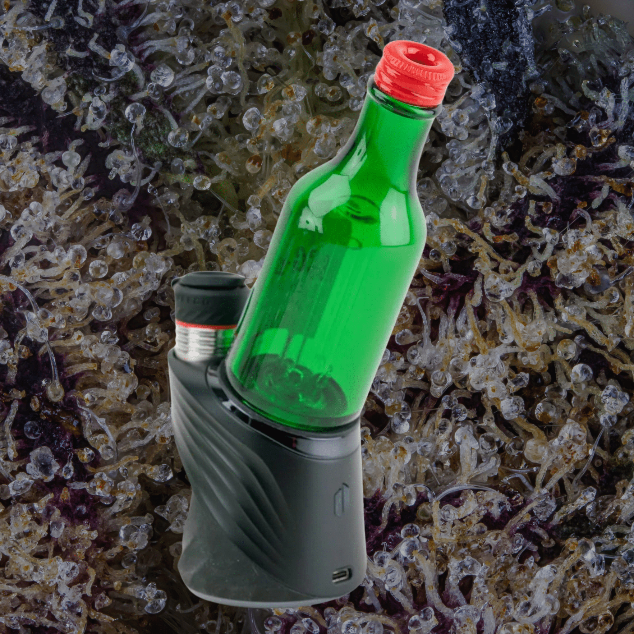 Empire Glassworks Soju Bottle Puffco Peak/Peak Pro Glass Top | Trichly