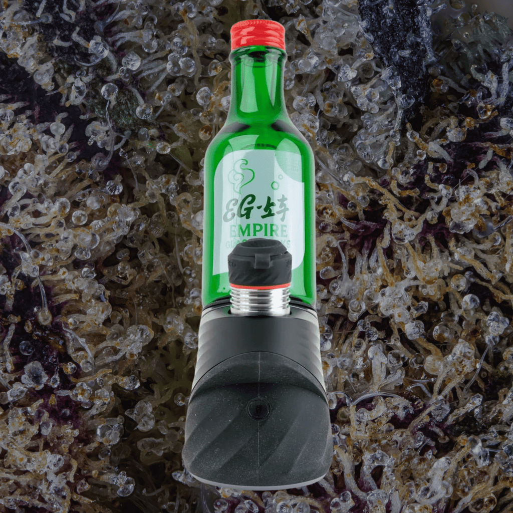Empire Glassworks Soju Bottle Puffco Peak/Peak Pro Glass Top | Trichly