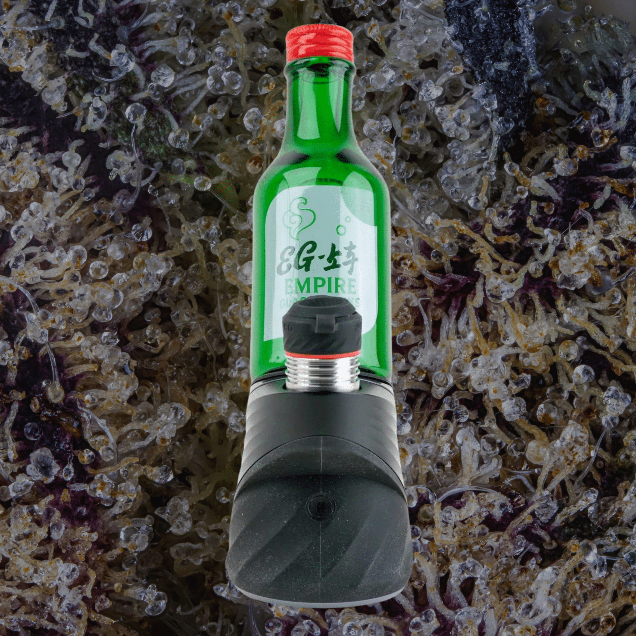 Empire Glassworks Soju Bottle Puffco Peak/Peak Pro Glass Top | Trichly