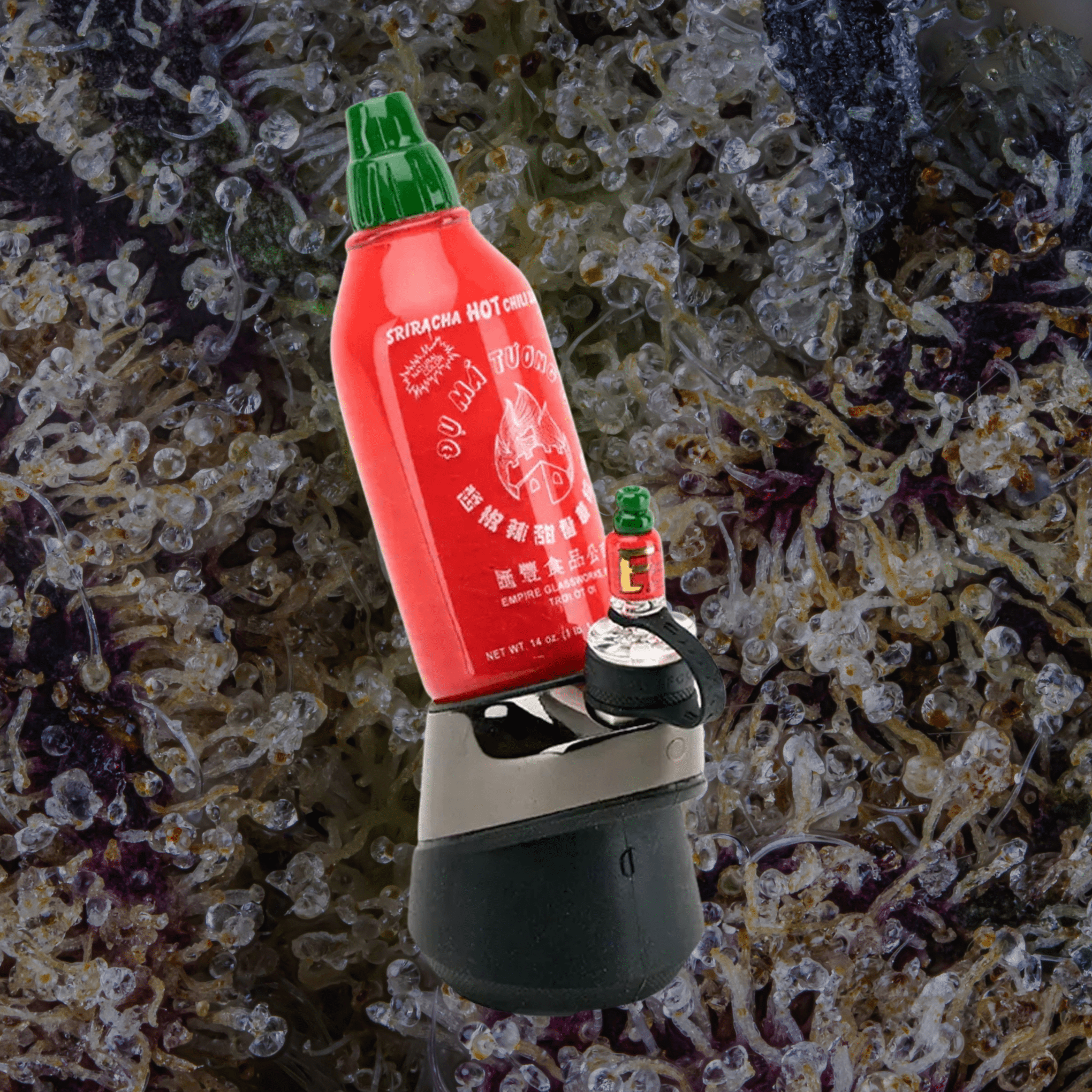 Empire Glassworks Sriracha Peak Top | Trichly