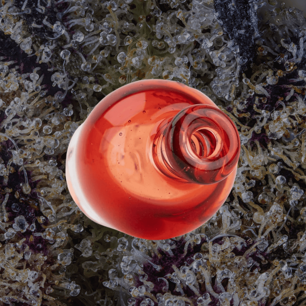 Empire Glassworks Transparent Red Puffco Pivot Top | Trichly