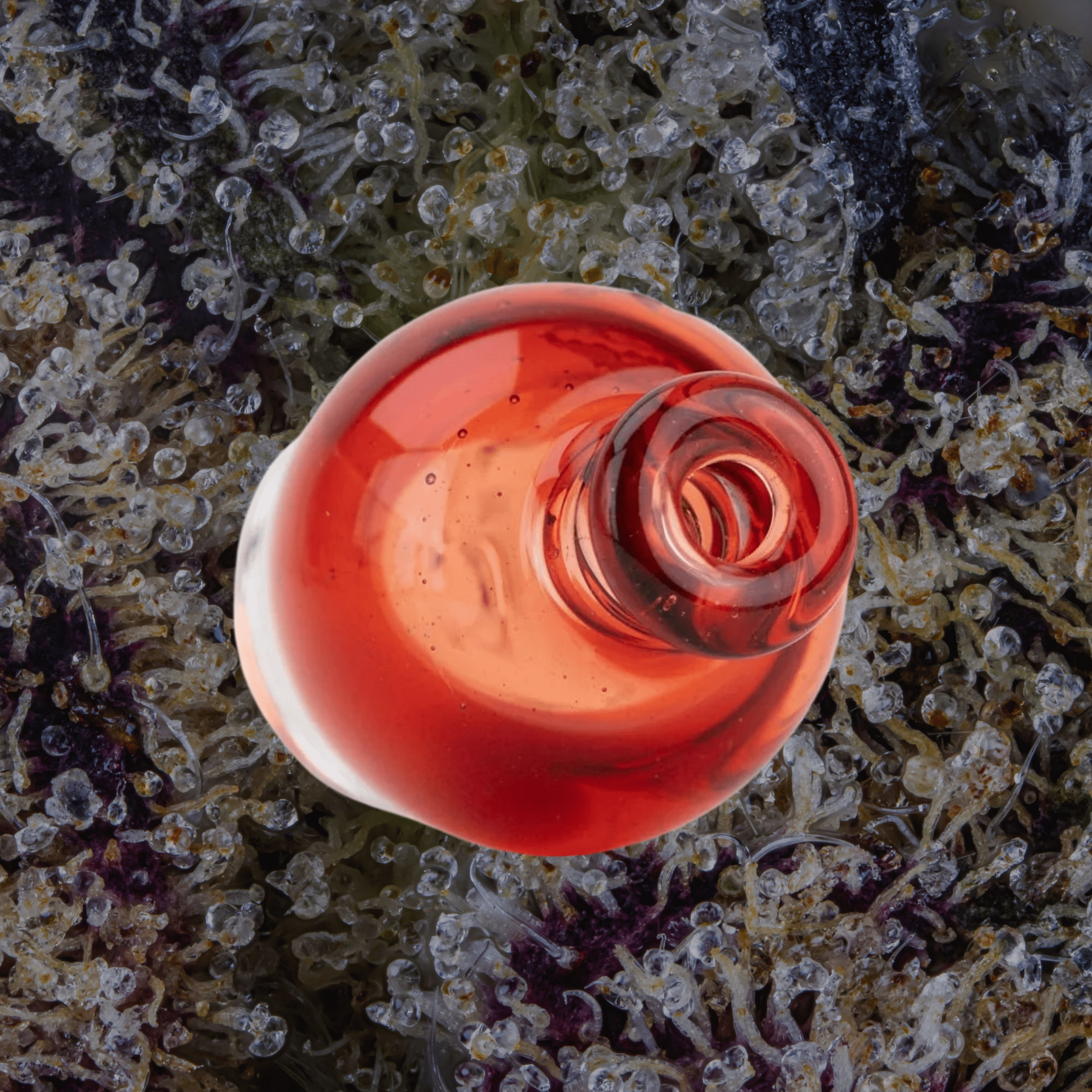 Empire Glassworks Transparent Red Puffco Pivot Top | Trichly