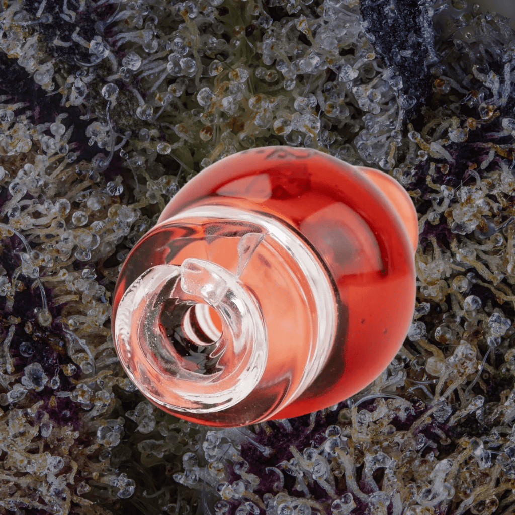 Empire Glassworks Transparent Red Puffco Pivot Top | Trichly