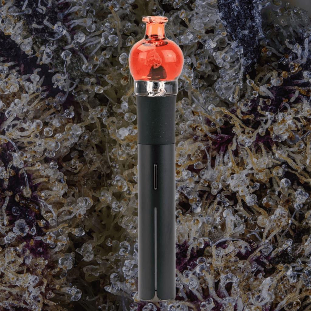 Empire Glassworks Transparent Red Puffco Pivot Top | Trichly