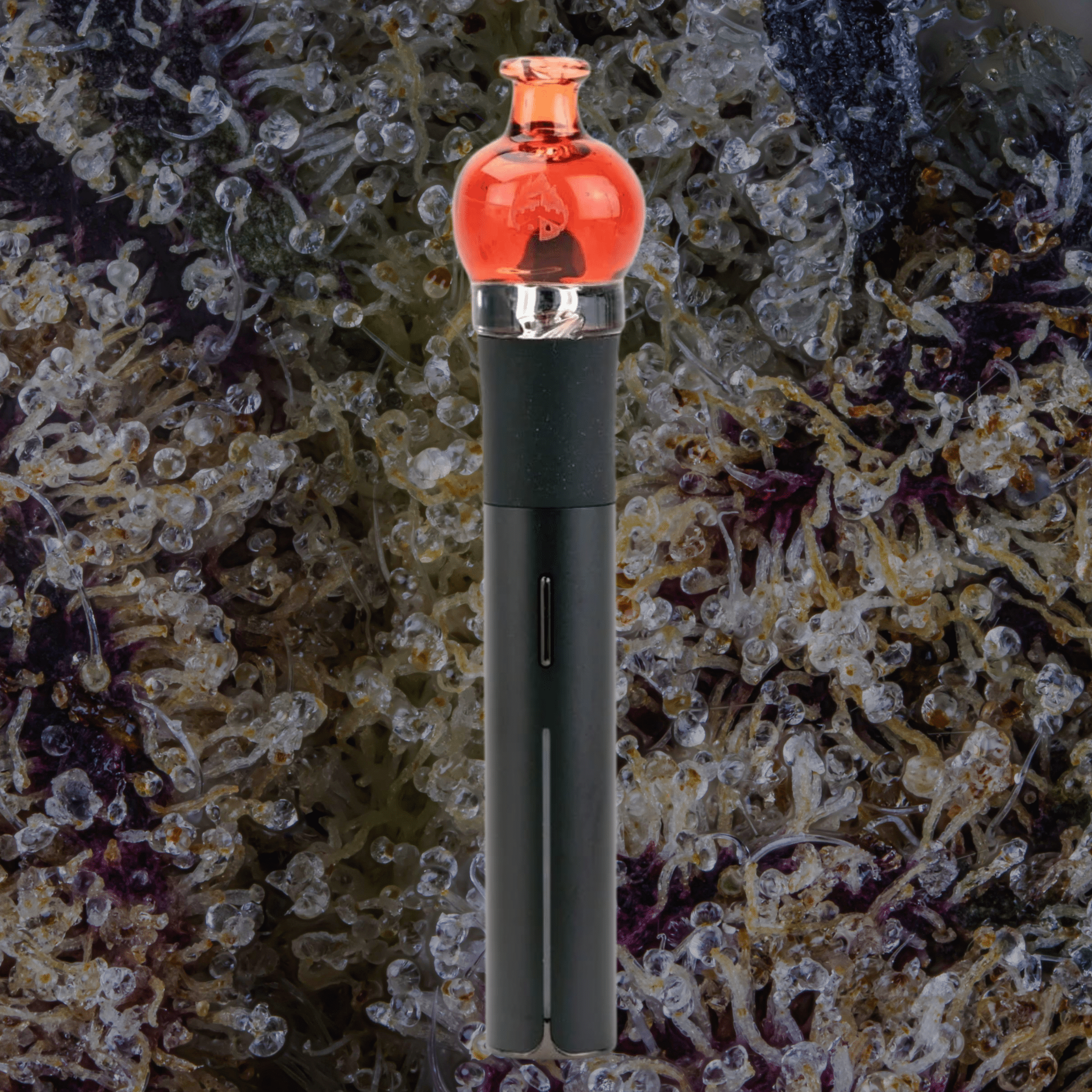 Empire Glassworks Transparent Red Puffco Pivot Top | Trichly