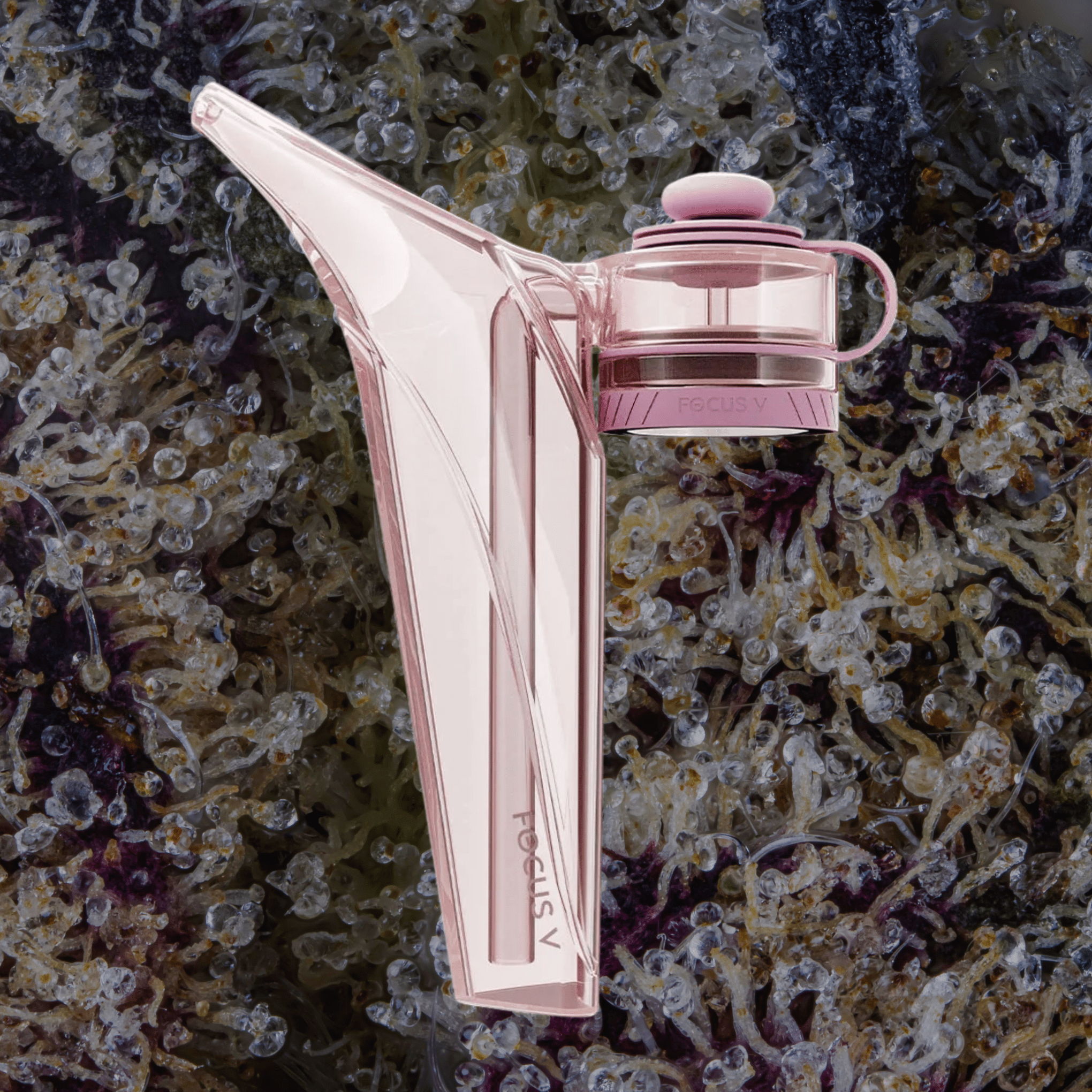 Focus V Aeris Bubbler Kit Pink | Trichly