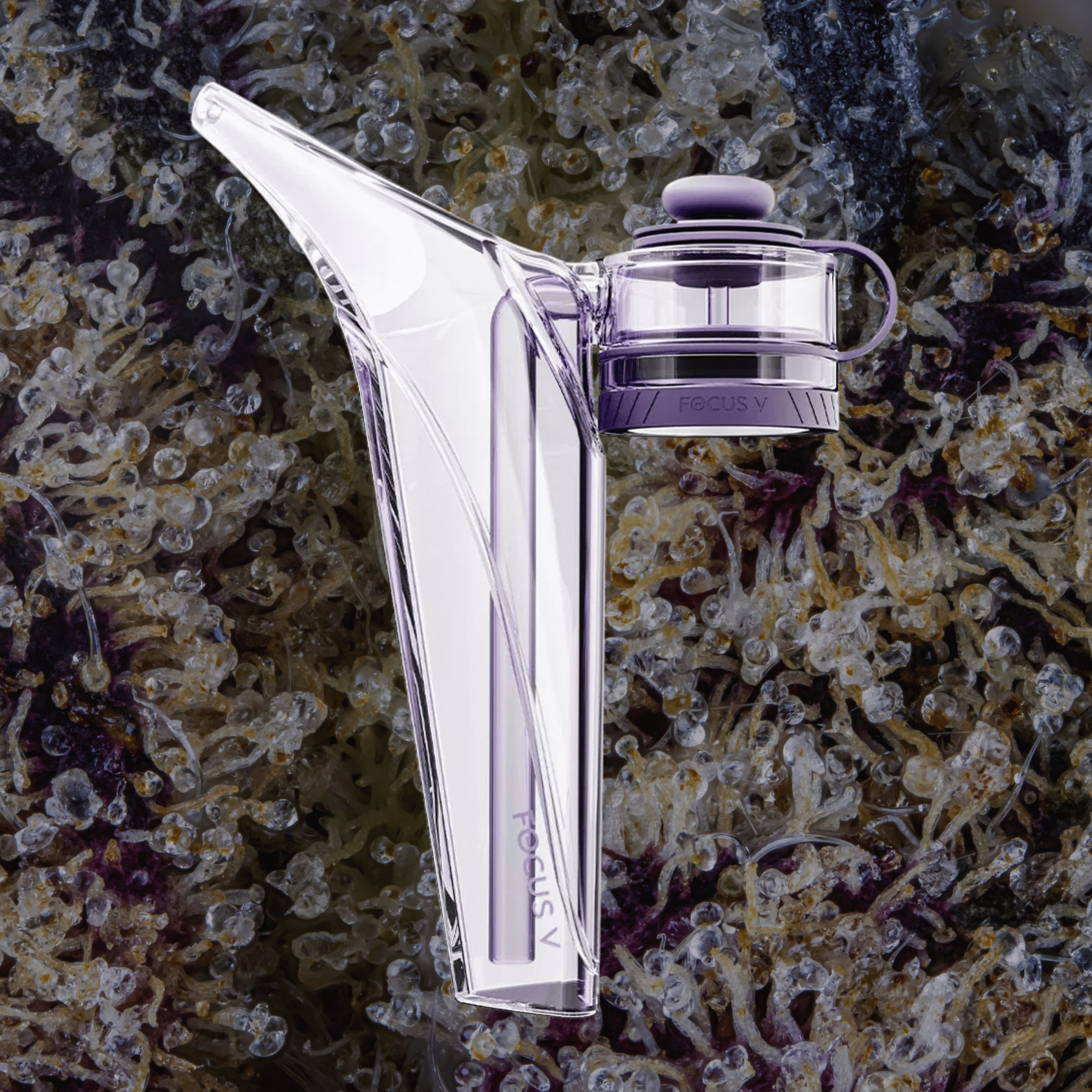 Focus V Aeris Bubbler Kit Purple | Trichly