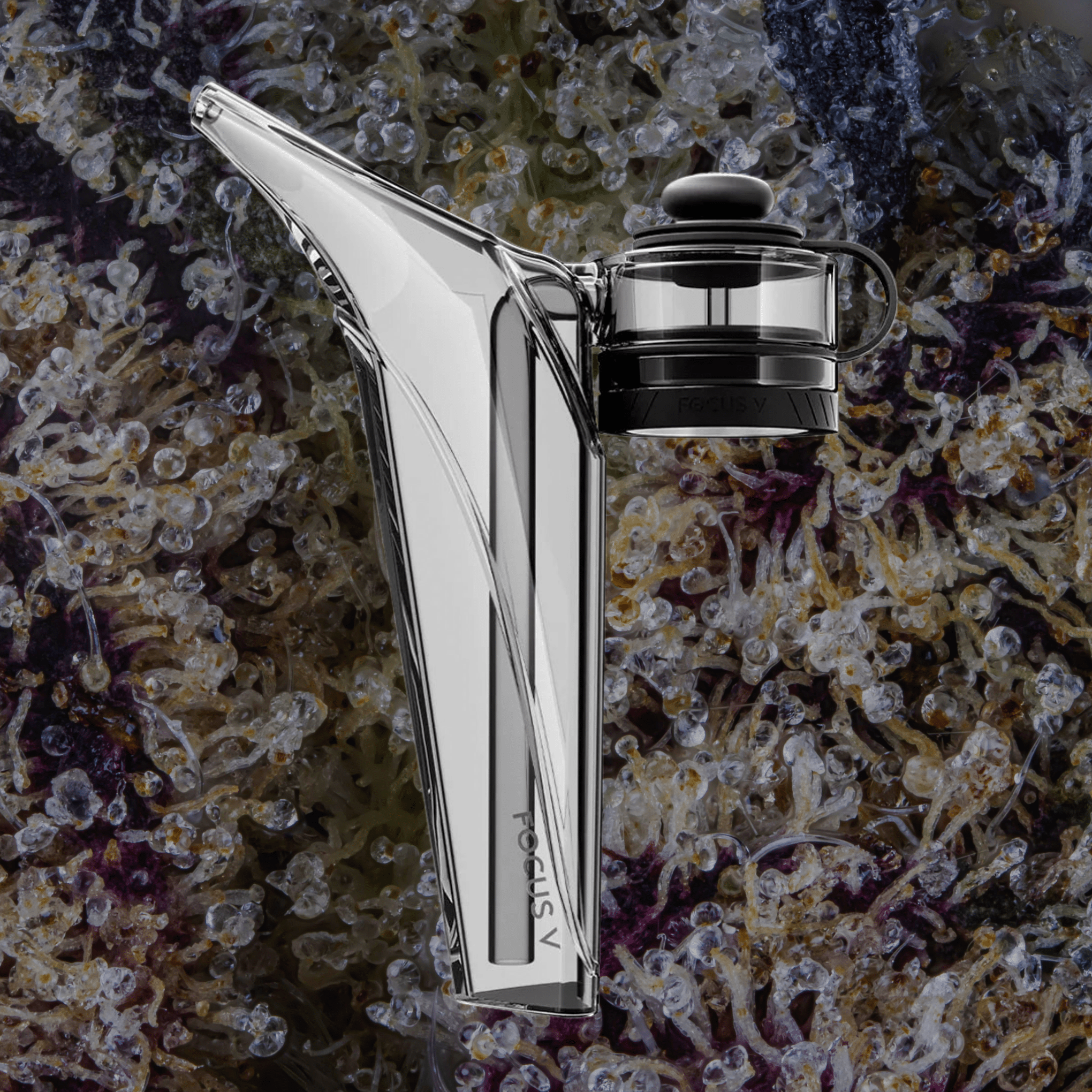 Focus V Aeris Bubbler Kit Smoke | Trichly