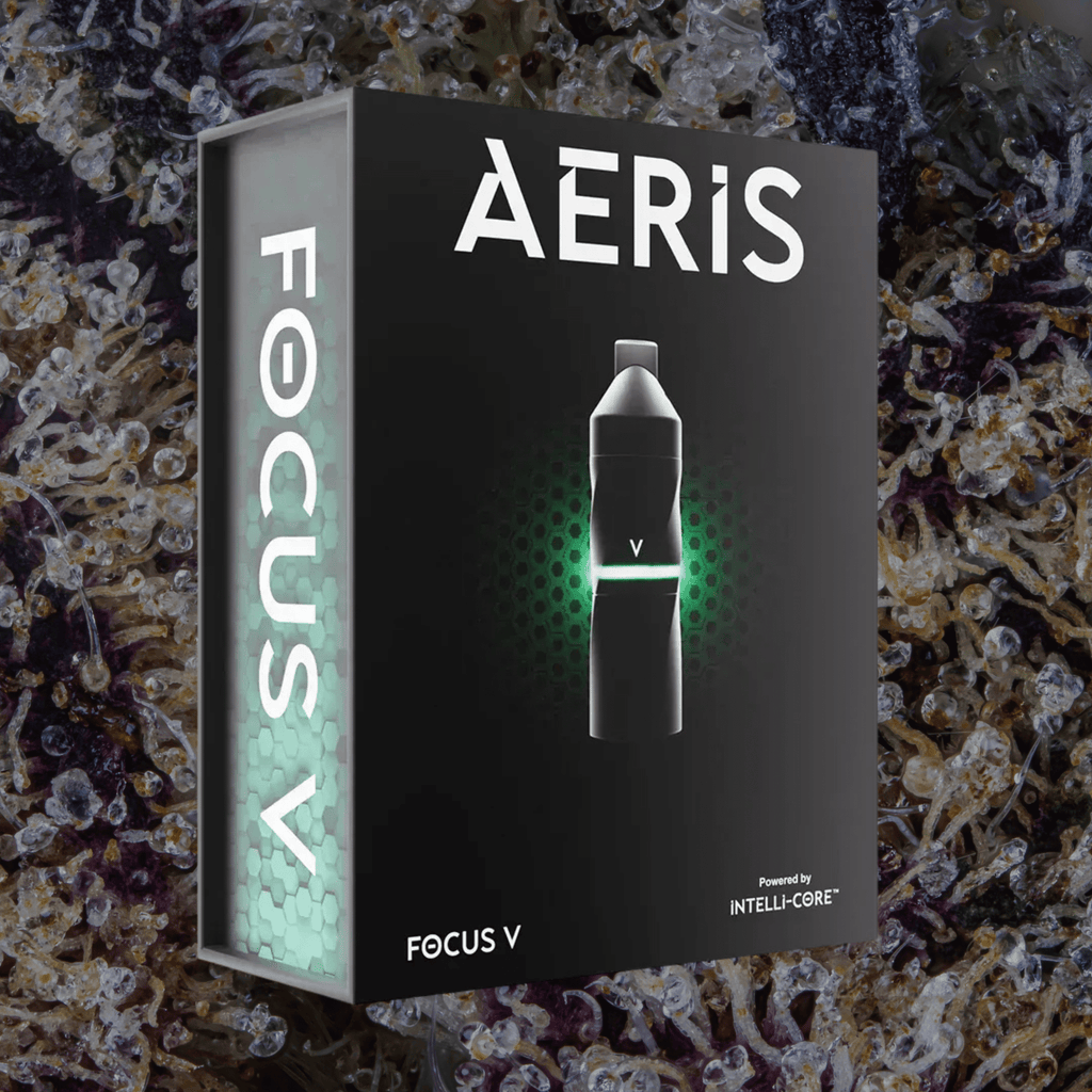 Focus V Aeris Grape | Trichly