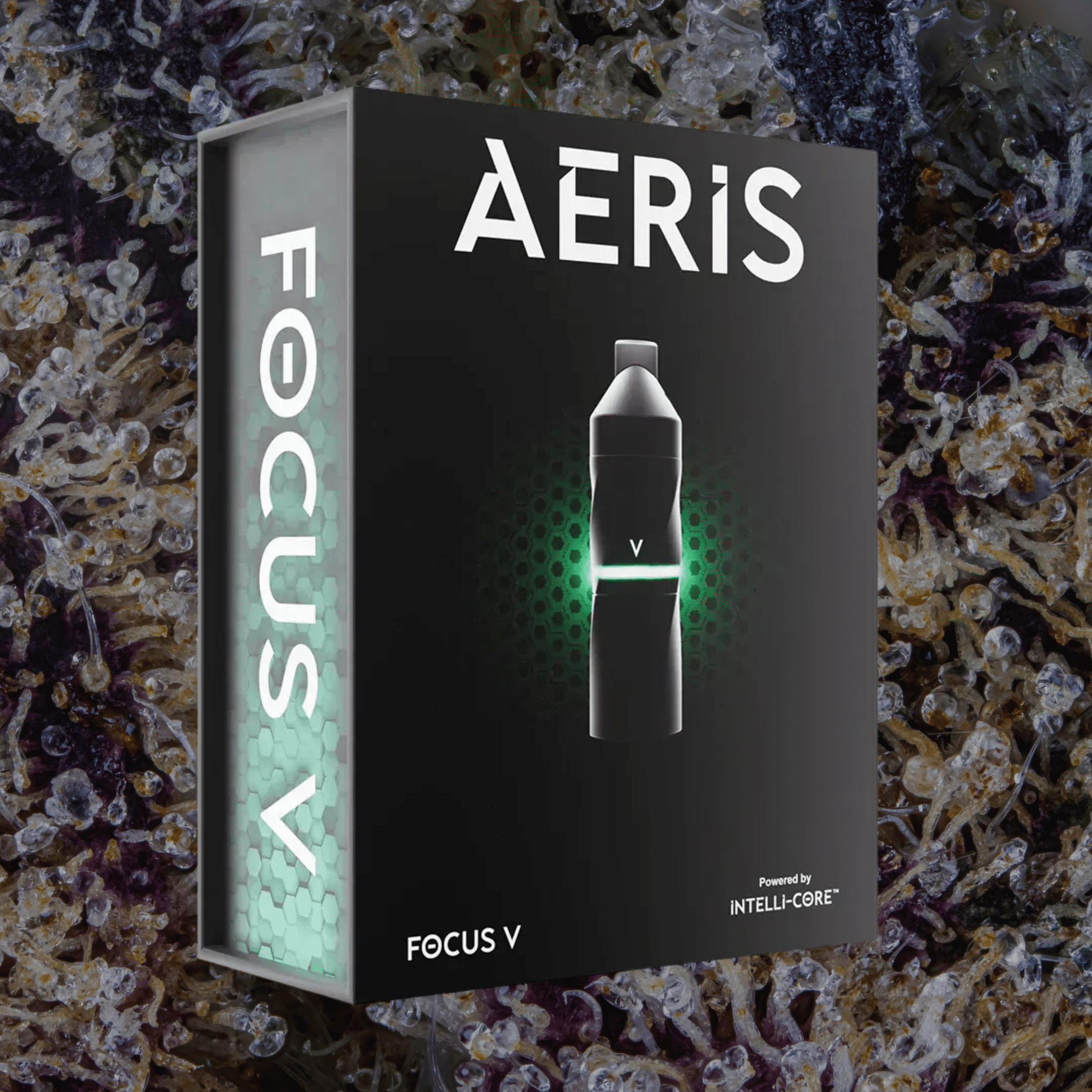 Focus V Aeris Grape | Trichly