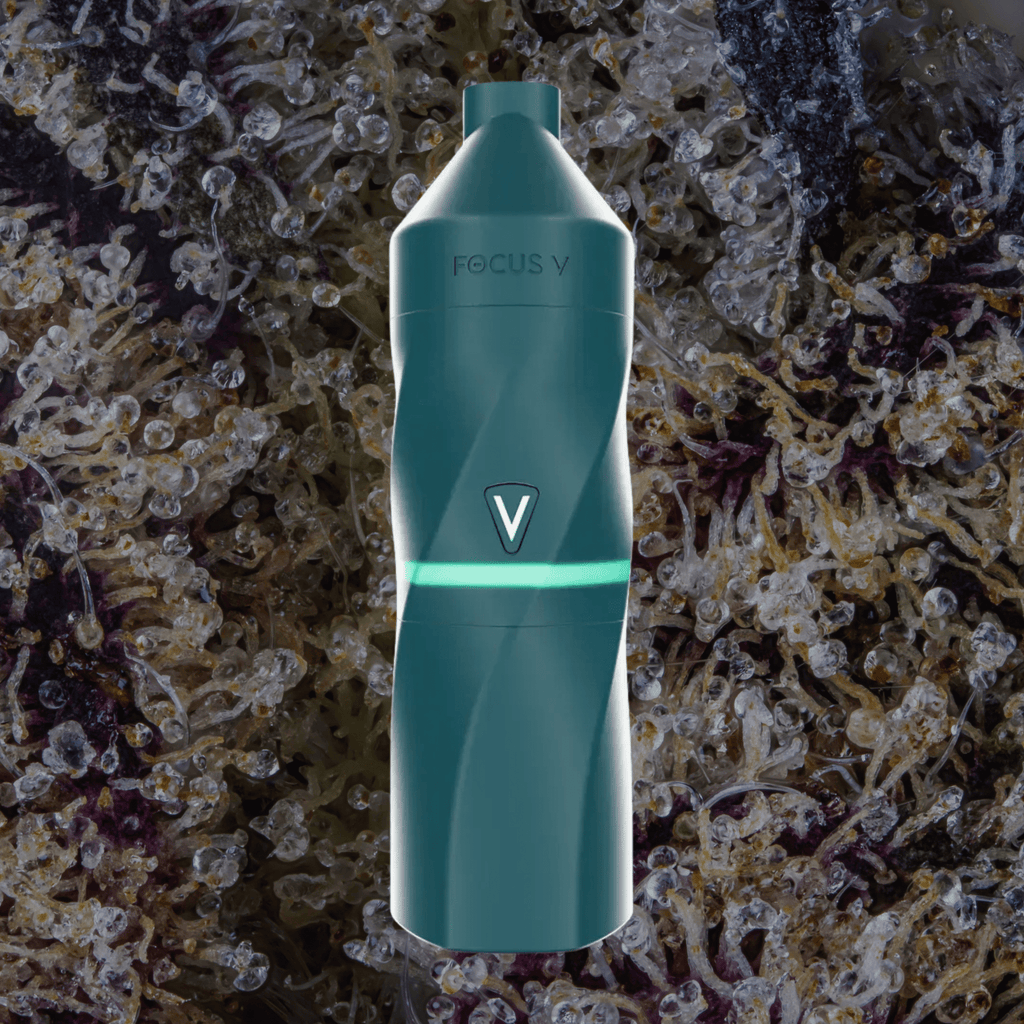 Focus V Aeris Grape | Trichly